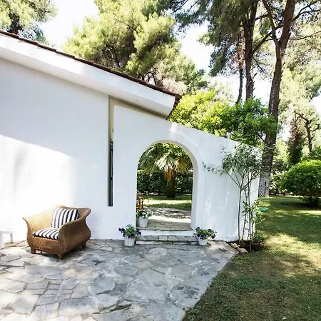 Irini In Sani Villa *