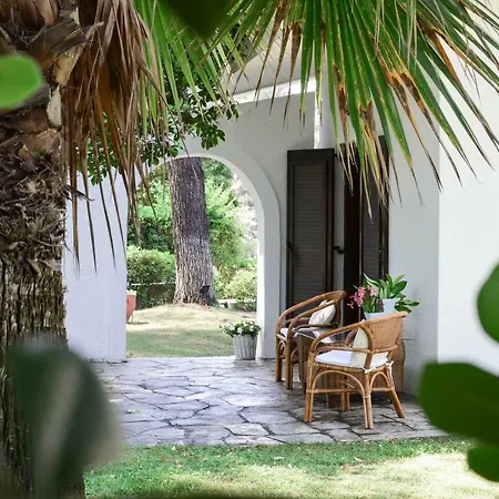 Irini In Sani Villa *