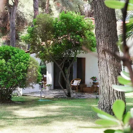 Irini In Sani Villa *