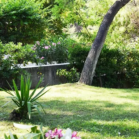 Irini In Sani Villa *